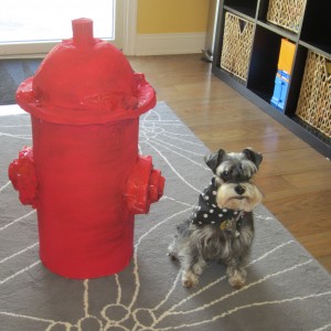 A fire hydrant with a fire dog…